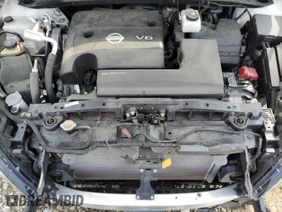 ✅ 2023 Nissan Murano S • VIN: 5N1AZ2AJ5PC118742 • Лот: 61557735. Опубликован ранее на Copart с пробегом 37 140 миль. Бесплатный доступ к архиву аукционных продаж из США и подробный отчёт об истории автомобиля на DreamBid. Изображение 12.