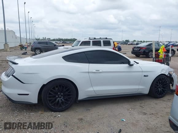 ✅ 2017 Ford Mustang GT • VIN: 1FA6P8CF7H5256581 • Lot: 42124096. Listed on IAAI with 105,296 mi. Free auction sales archive from the USA and detailed vehicle history report at DreamBid. Image 13.