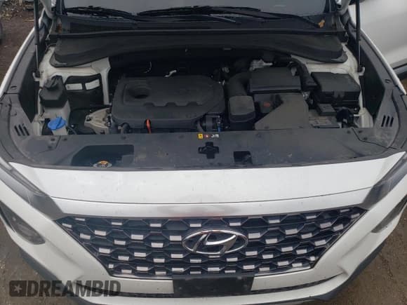 ✅ 2020 Hyundai Santa Fe SEL • VIN: 5NMS3CAD9LH239036 • Lot: 53093234. Wystawiony na Copart z przebiegiem 53 103 mil. Bezpłatny archiwum sprzedaży aukcyjnych z USA i szczegółowy raport historii pojazdu na DreamBid. Zdjęcie 12.