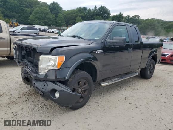 ✅ 2013 Ford F-150 XL • VIN: 1FTFX1EFXDKD57043 • Lot: 67001245. Wystawiony na Copart z przebiegiem 175 844 mil. Bezpłatny archiwum sprzedaży aukcyjnych z USA i szczegółowy raport historii pojazdu na DreamBid. Zdjęcie 1.