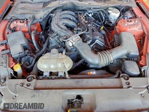 ✅ 2015 Ford Mustang V6 • VIN: 1FA6P8AMXF5339209 • Lot: 95645835. Wystawiony na Copart z przebiegiem 60 510 mil. Bezpłatny archiwum sprzedaży aukcyjnych z USA i szczegółowy raport historii pojazdu na DreamBid. Zdjęcie 11.