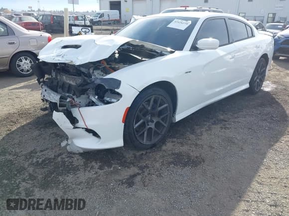 ✅ 2019 Dodge Charger R/T • VIN: 2C3CDXCT8KH504704 • Лот: 43528275. Опубликован ранее на IAAI с пробегом 96 212 миль. Бесплатный доступ к архиву аукционных продаж из США и подробный отчёт об истории автомобиля на DreamBid. Изображение 2.