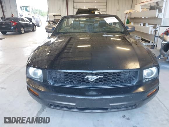 ✅ 2005 Ford Mustang Deluxe • VIN: 1ZVFT84N855165811 • Лот: 42208259. Опубликован ранее на IAAI с пробегом 128 799 миль. Бесплатный доступ к архиву аукционных продаж из США и подробный отчёт об истории автомобиля на DreamBid. Изображение 12.