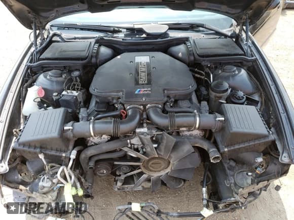 ✅ 2003 BMW 5 Series M5 • VIN: WBSDE93473CF92968 • Лот: 62267784. Опубликован ранее на Copart с пробегом Не указан. Бесплатный доступ к архиву аукционных продаж из США и подробный отчёт об истории автомобиля на DreamBid. Изображение 11.