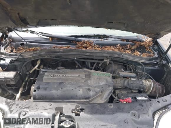 ✅ 2001 Acura MDX Touring • VIN: 2HNYD18671H511668 • Lot: 42507119. Wystawiony na IAAI z przebiegiem 293 313 mil. Bezpłatny archiwum sprzedaży aukcyjnych z USA i szczegółowy raport historii pojazdu na DreamBid. Zdjęcie 10.