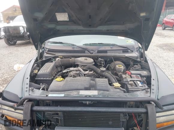 ✅ 2000 Dodge Dakota SLT • VIN: 1B7GG22X3YS508480 • Lot: 41900645. Wystawiony na IAAI z przebiegiem 105 652 mil. Bezpłatny archiwum sprzedaży aukcyjnych z USA i szczegółowy raport historii pojazdu na DreamBid. Zdjęcie 10.