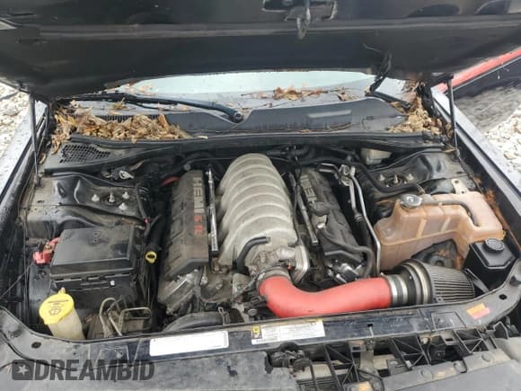 ✅ 2009 Dodge Challenger SRT-8 • VIN: 2B3LJ74W09H569832 • Lot: 78840074. Wystawiony na Copart z przebiegiem Nie podano. Bezpłatny archiwum sprzedaży aukcyjnych z USA i szczegółowy raport historii pojazdu na DreamBid. Zdjęcie 11.