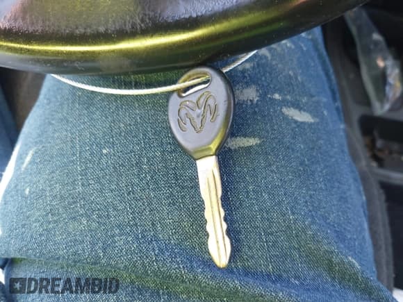 ✅ 2004 Dodge Dakota • VIN: 1D7HG12KX4S713541 • Lot: 43611680. Wystawiony na IAAI z przebiegiem 186 687 mil. Bezpłatny archiwum sprzedaży aukcyjnych z USA i szczegółowy raport historii pojazdu na DreamBid. Zdjęcie 11.