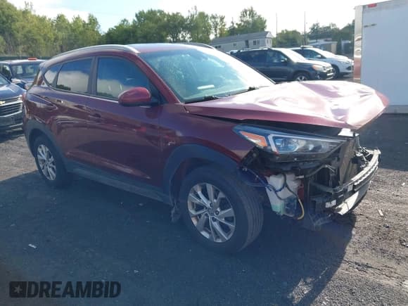 ✅ 2019 Hyundai Tucson Value • VIN: KM8J3CA44KU857007 • Лот: 43064152. Опубликован ранее на IAAI с пробегом 234 777 миль. Бесплатный доступ к архиву аукционных продаж из США и подробный отчёт об истории автомобиля на DreamBid. Изображение 1.