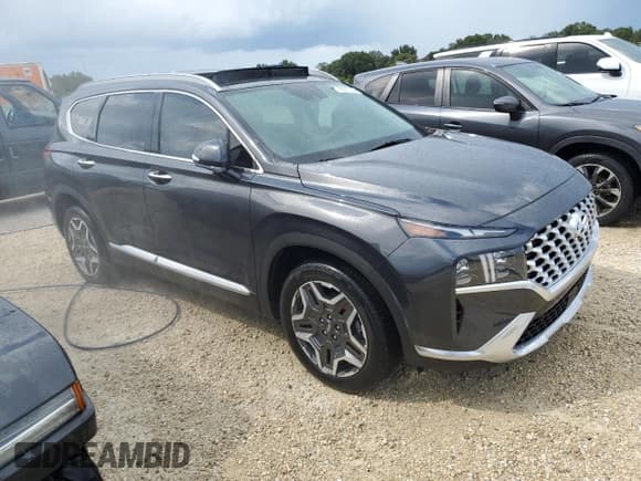 ✅ 2021 Hyundai Santa Fe Limited • VIN: 5NMS44AL8MH326065 • Lot: 73831734. Wystawiony na Copart z przebiegiem Nie podano. Bezpłatny archiwum sprzedaży aukcyjnych z USA i szczegółowy raport historii pojazdu na DreamBid. Zdjęcie 4.