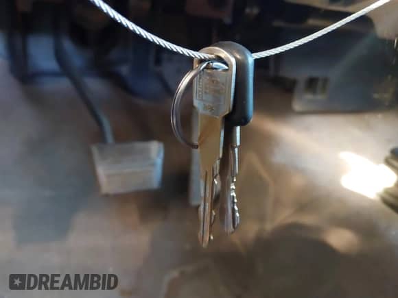 ✅ 1997 GMC Sierra 1500 • VIN: 1GTEC19M1VE524695 • Лот: 43552092. Размещён на IAAI с пробегом 215 857 миль миль. Получите бесплатный доступ к архиву аукционных продаж из США и посмотрите подробный отчёт об истории автомобиля на DreamBid. Изображение 11.