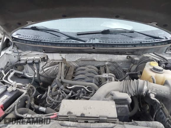 ✅ 2014 Ford F-150 XL • VIN: 1FTFW1EF0EFB34796 • Lot: 43339733. Listed on IAAI with 118,238 mi. Free auction sales archive from the USA and detailed vehicle history report at DreamBid. Image 10.