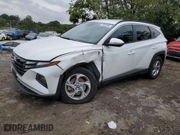 ✅ 2022 Hyundai Tucson SEL • VIN: 5NMJBCAE9NH127573 • Lot: 73833384. Wystawiony na Copart z przebiegiem 18 446 mil. Bezpłatny archiwum sprzedaży aukcyjnych z USA i szczegółowy raport historii pojazdu na DreamBid. Zdjęcie 1.