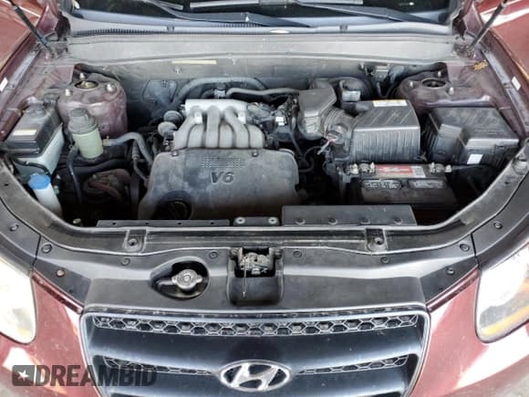 ✅ 2009 Hyundai Santa Fe GLS • VIN: 5NMSG13D39H255215 • Lot: 79679694. Listed on Copart with 175,617 mi. Free auction sales archive from the USA and detailed vehicle history report at DreamBid. Image 12.