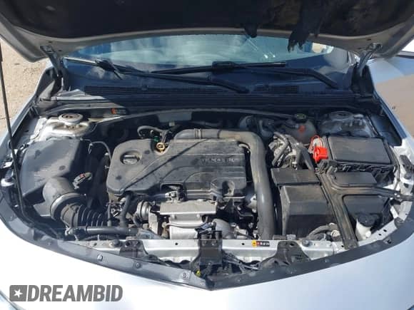 2019 Chevrolet Malibu LT with VIN 1G1ZD5ST8KF147594, listed as a IAAI auction lot 42182397 with 163,177 mi miles and . Bid and sale history available at DreamBid. Image 10.