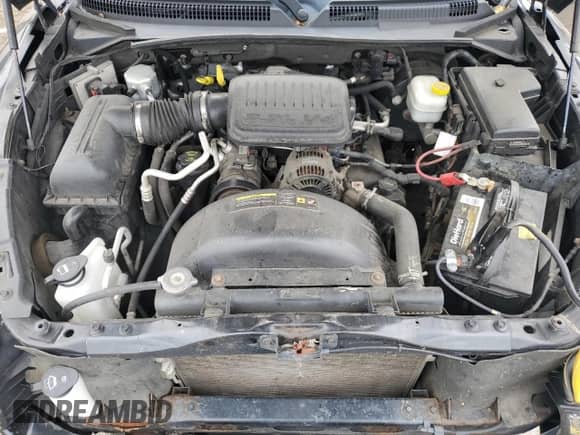 2006 Dodge Dakota SLT with VIN 1D7HW48K46S665095, listed as a Copart auction lot 73365124 with 164,831 mi miles and Clean title. Bid and sale history available at DreamBid. Image 12.