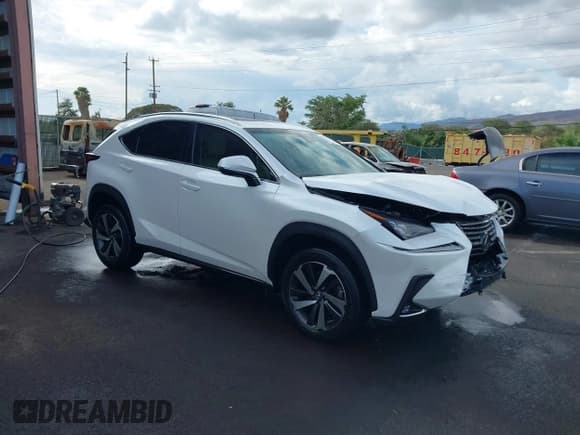 ✅ 2018 Lexus NX 300 • VIN: JTJYARBZXJ2109195 • Lot: 42045698. Listed on IAAI with 41,583 mi. Free auction sales archive from the USA and detailed vehicle history report at DreamBid. Image 1.
