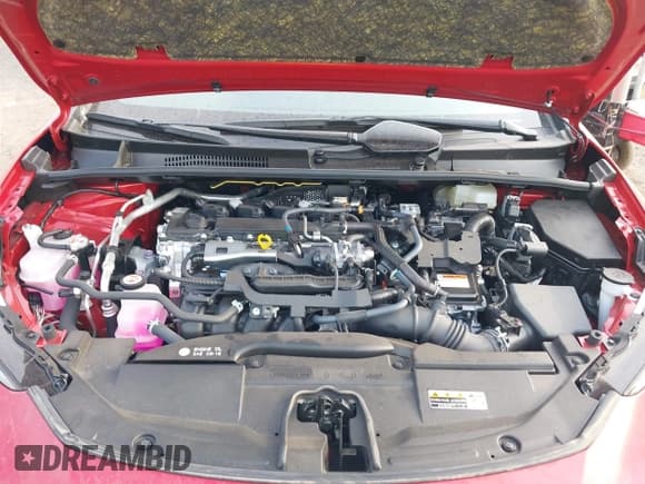 ✅ 2024 Toyota Prius LE • VIN: JTDACAAU8R3044021 • Lot: 42169592. Wystawiony na IAAI z przebiegiem 333 mil. Bezpłatny archiwum sprzedaży aukcyjnych z USA i szczegółowy raport historii pojazdu na DreamBid. Zdjęcie 10.