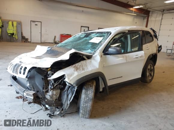 ✅ 2019 Jeep Cherokee Trailhawk • VIN: 1C4PJMBX1KD200300 • Lot: 41781465. Listed on IAAI with Not provided. Free auction sales archive from the USA and detailed vehicle history report at DreamBid. Image 2.