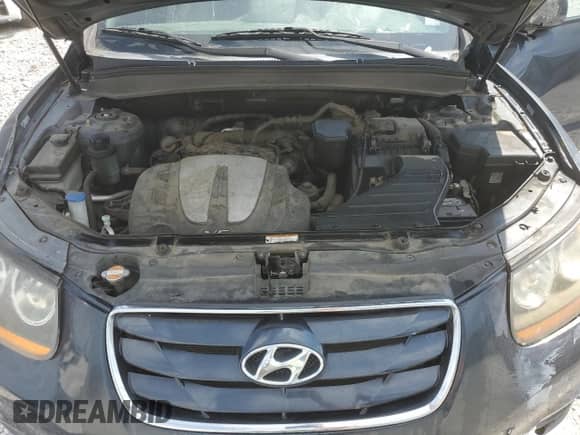 2011 Hyundai Santa Fe SE z VIN 5XYZHDAG4BG061528, wystawiony jako Copart lot #70642964 z przebiegiem 168 666 mil mil oraz Szkoda całkowita • Salvage title. Historia ofert i sprzedaży dostępna na DreamBid. Obrazek 12.
