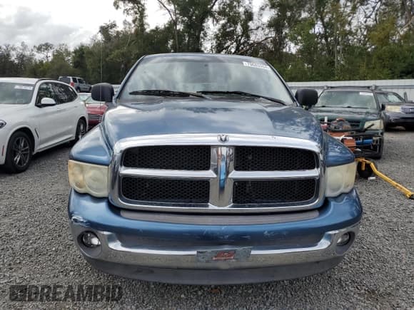 ✅ 2003 Dodge 1500 ST • VIN: 1D7HA18N63S260858 • Лот: 79685554. Опубликован ранее на Copart с пробегом 238 107 миль. Бесплатный доступ к архиву аукционных продаж из США и подробный отчёт об истории автомобиля на DreamBid. Изображение 5.