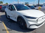 ✅ 2024 Ford Mustang Mach-E Premium • VIN: 3FMTK3R78RMA18406 • Lot: 43466081. Listed on IAAI with Not provided. Free auction sales archive from the USA and detailed vehicle history report at DreamBid. Image 1.