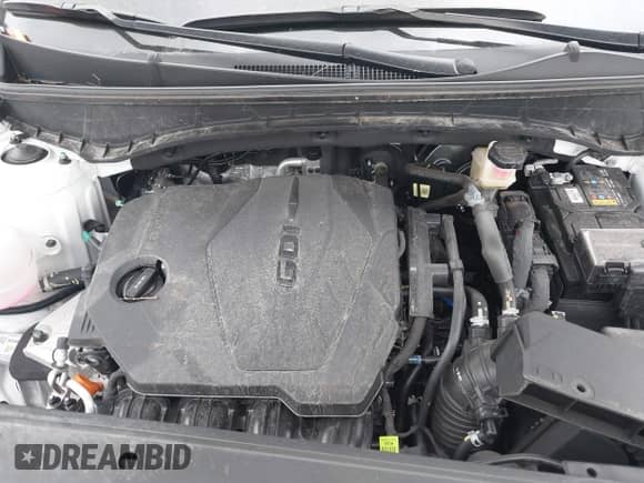 2025 Hyundai Santa Cruz SEL with VIN 5NTJBDDE9SH126540, listed as a IAAI auction lot 42747402 with 15,055 mi miles and . Bid and sale history available at DreamBid. Image 10.