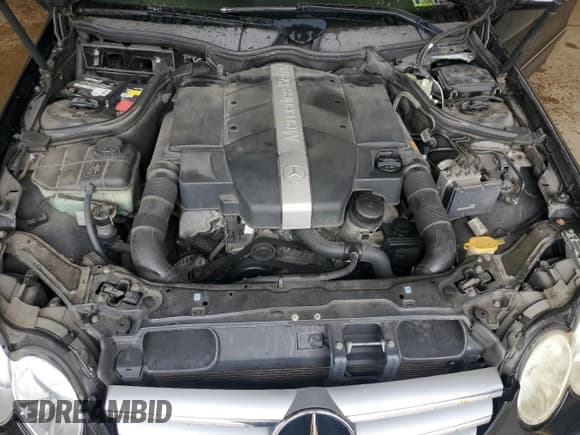 ✅ 2003 Mercedes-Benz CLK 320 • VIN: WDBTJ65J63F060685 • Lot: 57592975. Wystawiony na Copart z przebiegiem Nie podano. Bezpłatny archiwum sprzedaży aukcyjnych z USA i szczegółowy raport historii pojazdu na DreamBid. Zdjęcie 11.