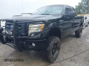 ✅ 2010 Ford F-150 XL • VIN: 1FTEX1EW7AFA75331 • Lot: 42226258. Listed on IAAI with 203,234 mi. Free auction sales archive from the USA and detailed vehicle history report at DreamBid. Image 2.