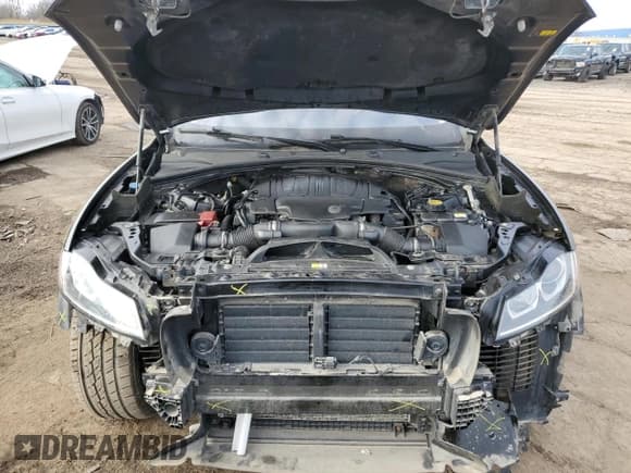 ✅ 2017 Jaguar F-Pace 35t • VIN: SADCS2BV8HA061263 • Lot: 48412045. Wystawiony na Copart z przebiegiem 98 290 mil. Bezpłatny archiwum sprzedaży aukcyjnych z USA i szczegółowy raport historii pojazdu na DreamBid. Zdjęcie 12.