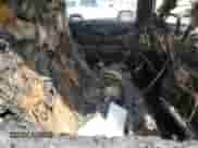 2018 Dodge Journey Crossroad with VIN 3C4PDCGG0JT157040, listed as a Copart auction lot 71815995 with Not provided miles and Clean title. Bid and sale history available at DreamBid. Image 11.