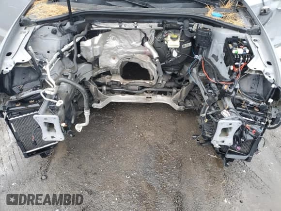 ✅ 2018 Audi RS 3 • VIN: WUABWGFF8J1904172 • Лот: 57705255. Опубликован ранее на Copart с пробегом Не указан. Бесплатный доступ к архиву аукционных продаж из США и подробный отчёт об истории автомобиля на DreamBid. Изображение 11.