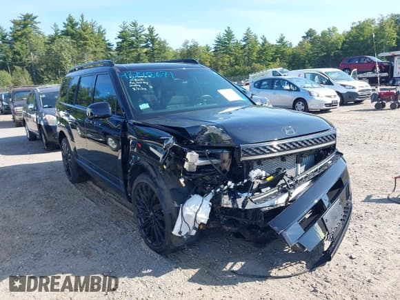 ✅ 2024 Hyundai Santa Fe Calligraphy • VIN: 5NMP5DGL4RH062912 • Lot: 43198671. Listed on IAAI with 13,068 mi. Free auction sales archive from the USA and detailed vehicle history report at DreamBid. Image 6.