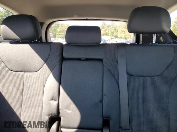 ✅ 2020 Hyundai Santa Fe SE • VIN: 5NMS2CAD5LH215108 • Lot: 85559885. Listed on Copart with 93,583 mi. Free auction sales archive from the USA and detailed vehicle history report at DreamBid. Image 10.