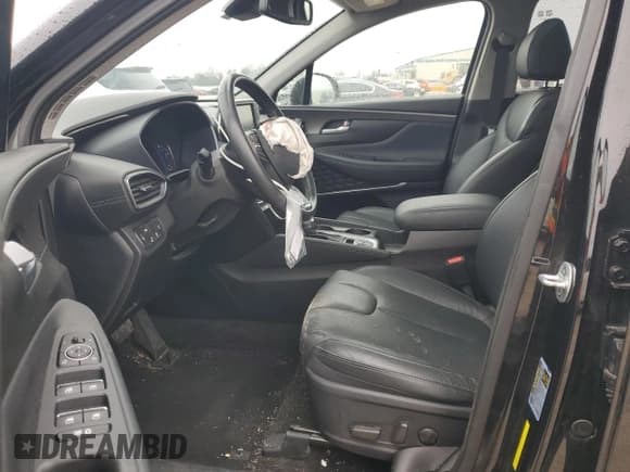 ✅ 2019 Hyundai Santa Fe Limited • VIN: 5NMS53AA3KH119523 • Lot: 43383034. Wystawiony na Copart z przebiegiem 43 070 mil. Bezpłatny archiwum sprzedaży aukcyjnych z USA i szczegółowy raport historii pojazdu na DreamBid. Zdjęcie 7.