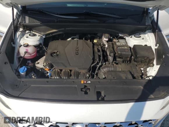 ✅ 2022 Hyundai Santa Fe SEL • VIN: 5NMS34AJ4NH475463 • Lot: 62287244. Wystawiony na Copart z przebiegiem 57 621 mil. Bezpłatny archiwum sprzedaży aukcyjnych z USA i szczegółowy raport historii pojazdu na DreamBid. Zdjęcie 12.