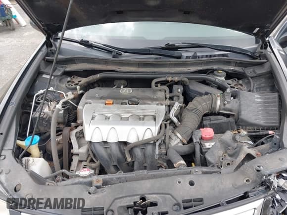 ✅ 2013 Acura TSX • VIN: JH4CU2F45DC009738 • Lot: 42466662. Wystawiony na IAAI z przebiegiem 110 977 mil. Bezpłatny archiwum sprzedaży aukcyjnych z USA i szczegółowy raport historii pojazdu na DreamBid. Zdjęcie 10.