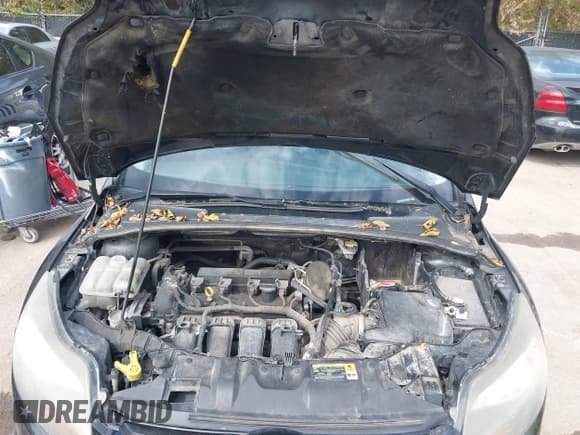 ✅ 2013 Ford Focus Titanium • VIN: 1FADP3J23DL169468 • Лот: 43333472. Опубликован ранее на IAAI с пробегом 244 255 миль. Бесплатный доступ к архиву аукционных продаж из США и подробный отчёт об истории автомобиля на DreamBid. Изображение 10.