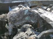 ✅ 2015 Kia Optima SX Turbo • VIN: 5XXGR4A68FG449867 • Lot: 81156685. Listed on Copart with Not provided. Free auction sales archive from the USA and detailed vehicle history report at DreamBid. Image 9.