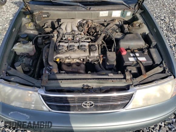 ✅ 1999 Toyota Avalon XL • VIN: 4T1BF18B5XU312901 • Лот: 49427695. Опубликован ранее на Copart с пробегом 147 659 миль. Бесплатный доступ к архиву аукционных продаж из США и подробный отчёт об истории автомобиля на DreamBid. Изображение 11.