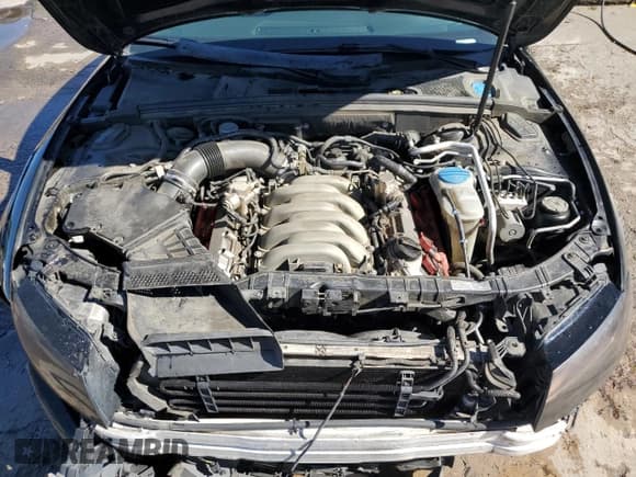 ✅ 2010 Audi S5 Premium Plus • VIN: WAUCVAFR4AA022490 • Lot: 72968184. Listed on Copart with 119,458 mi. Free auction sales archive from the USA and detailed vehicle history report at DreamBid. Image 11.