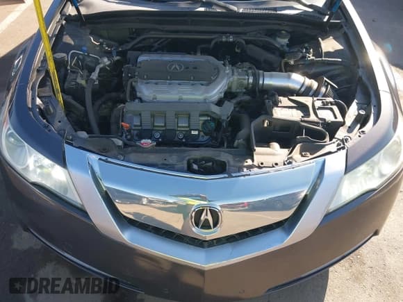 ✅ 2009 Acura TL Technology • VIN: 19UUA86569A018026 • Lot: 43584376. Listed on IAAI with 166,730 mi. Free auction sales archive from the USA and detailed vehicle history report at DreamBid. Image 10.