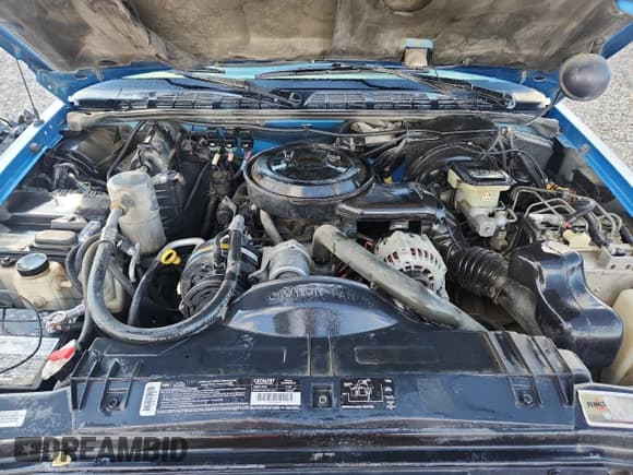 ✅ 1995 Chevrolet S-10 • VIN: 1GCCT19Z3S8127423 • Lot: 85138325. Wystawiony na Copart z przebiegiem 134 903 mil. Bezpłatny archiwum sprzedaży aukcyjnych z USA i szczegółowy raport historii pojazdu na DreamBid. Zdjęcie 11.