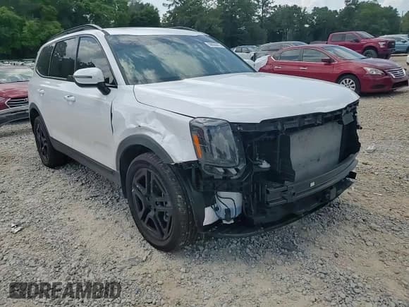 ✅ 2025 Kia Telluride EX X-Line • VIN: 5XYP3DGC0SG567979 • Lot: 59685875. Listed on Copart with 11,056 mi. Free auction sales archive from the USA and detailed vehicle history report at DreamBid. Image 15.