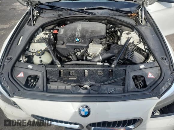 ✅ 2014 BMW 5 Series 528i xDrive • VIN: WBA5A7C54ED219379 • Lot: 70952105. Wystawiony na Copart z przebiegiem 142 526 mil. Bezpłatny archiwum sprzedaży aukcyjnych z USA i szczegółowy raport historii pojazdu na DreamBid. Zdjęcie 11.